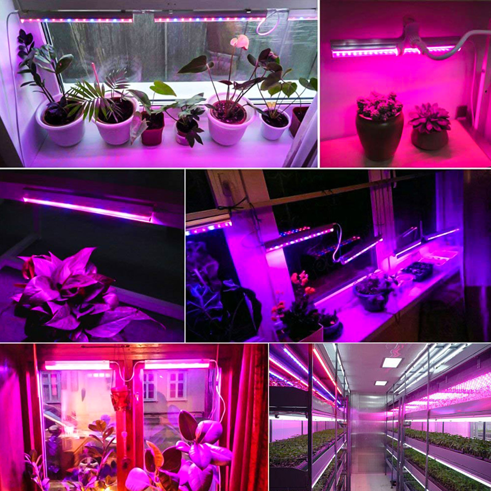 Details about   LED Grow Waterproof Light Strip Full Spectrum Lamp for Indoor Plant Veg Flower 